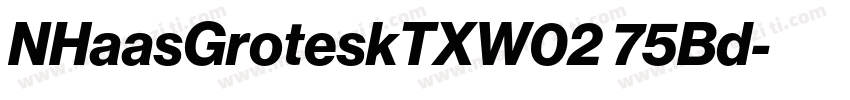 NHaasGroteskTXW02 75Bd字体转换